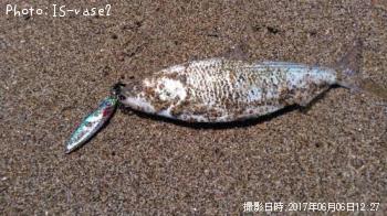 ���Υ���