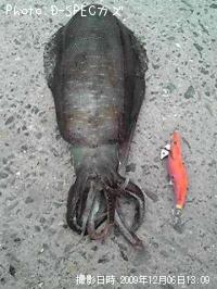 �����ꥤ��