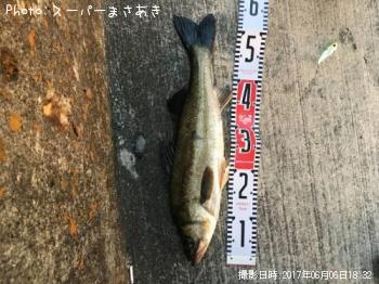 �����Х�