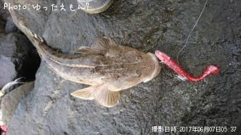 �ޥ���