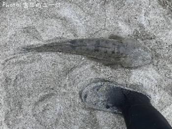 �ޥ���
