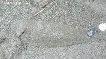 �����ӥ��