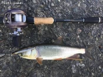 �����Х�