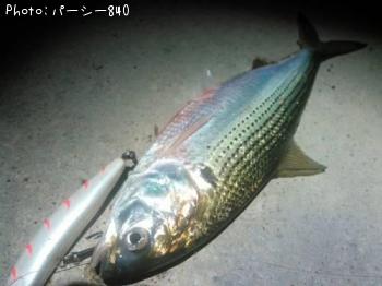 ���Υ���