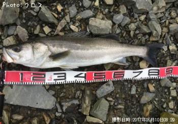 �����Х�