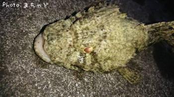 ���˥�����