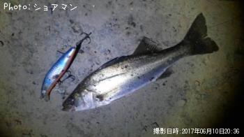 �����Х�