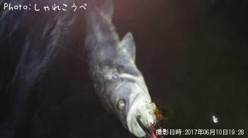 �����Х�