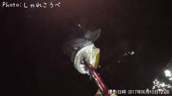 �����Х�