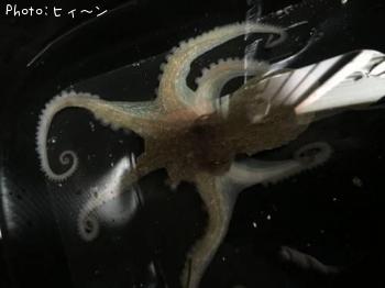 �ޥ���