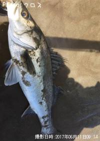 �����Х�