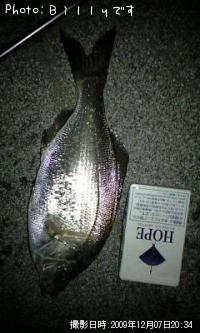 �����ʥ�