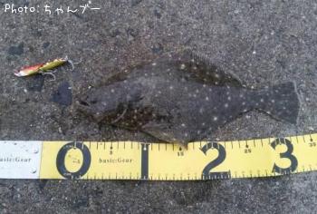 �ҥ��ʥ�����