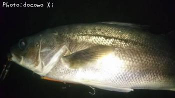 �����Х�