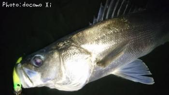 �����Х�