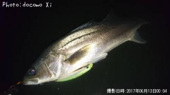 �����Х�