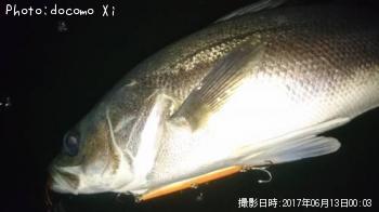 �����Х�