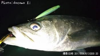 �����Х�