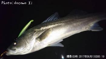 �����Х�