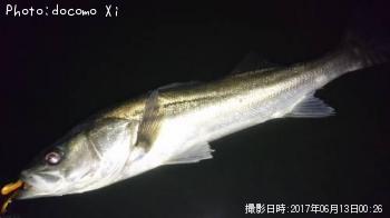 �����Х�