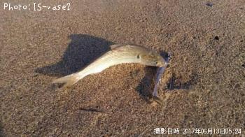 ���Υ���