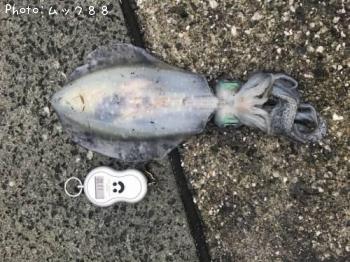 �����ꥤ��