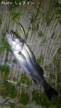 �����Х�