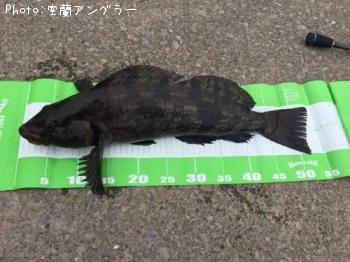 �����ʥ�