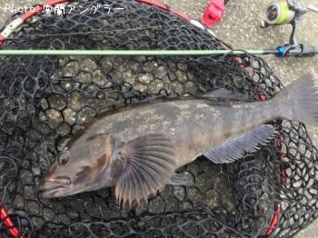 �����ʥ�