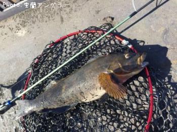 �����ʥ�