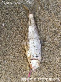 ���Υ���