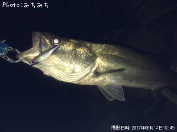 �����Х�