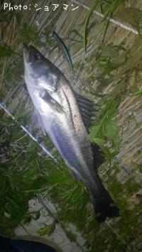 �����Х�