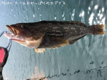 �����ʥ�