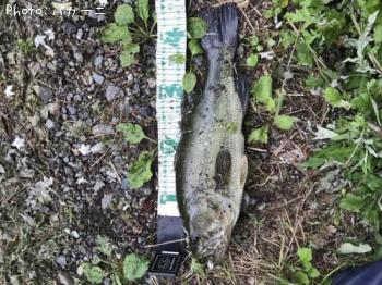 ¥Ö¥é¥Ã¥¯¥Ð¥¹