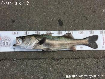 �����Х�