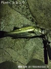 �����Х�