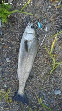 �����Х�