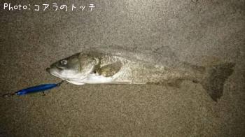 �����Х�