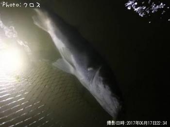 �����Х�