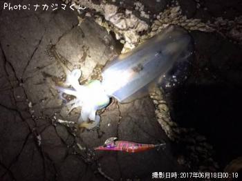 �����ꥤ��