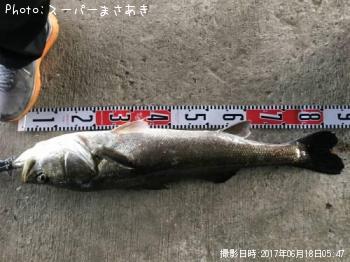 �����Х�