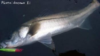 �����Х�