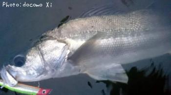 �����Х�