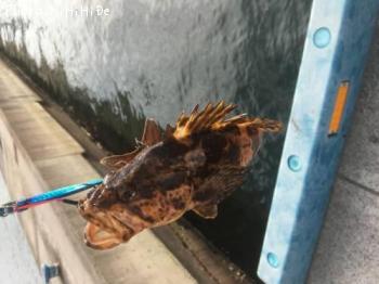 �����Υ���Х�