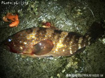 �����ϥ�