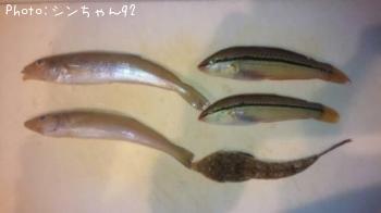 ¥¥¹¡¢¥Ù¥é¡¢¥¬¥Ã¥Á¥è