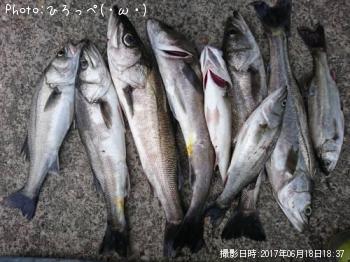 �����Х�