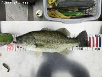 �֥�å��Х�