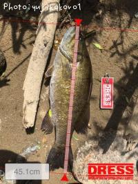 �֥�å��Х�